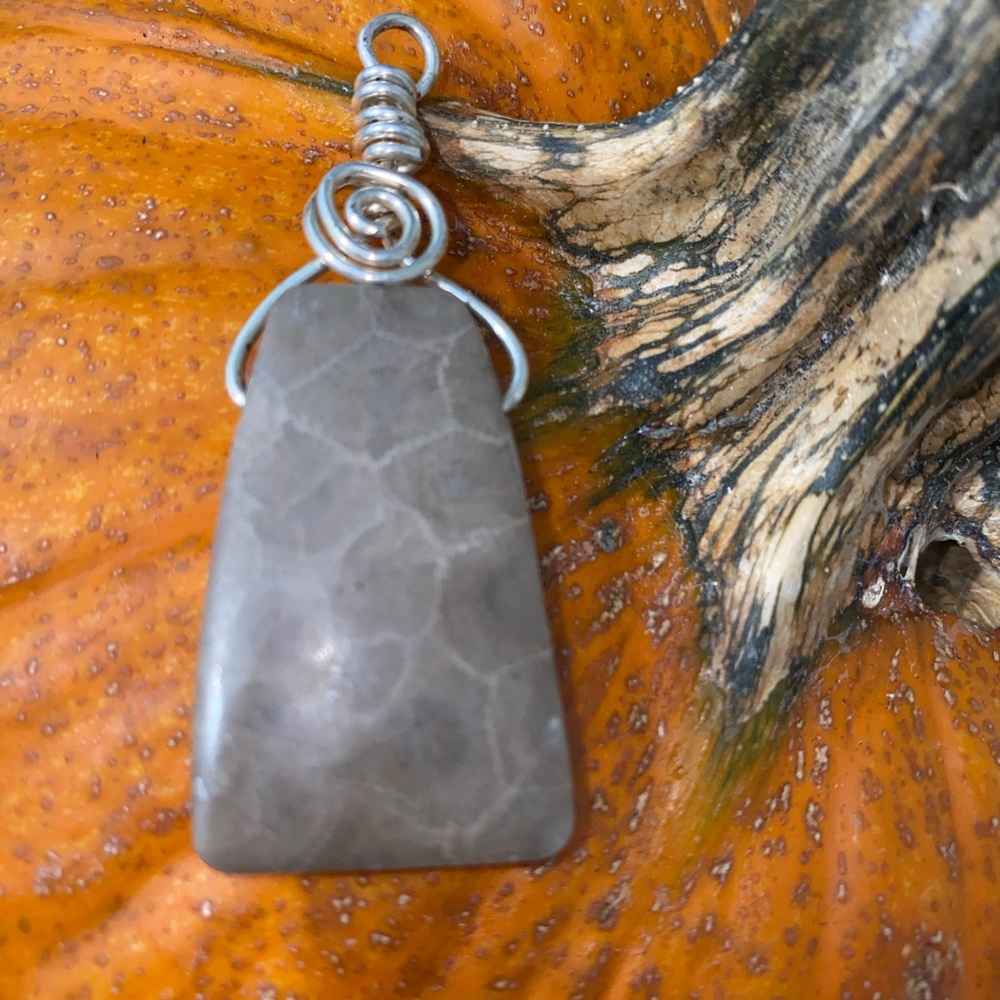Petoskey Stone Pendant